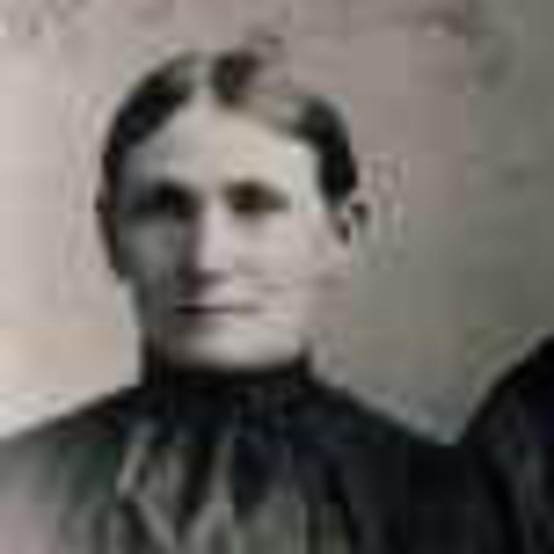 Jane Narcissus Shurtliff (1840 - 1924) Profile